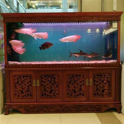 香山夕陽 風水魚缸